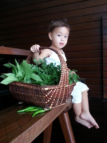  Everyday, after breakfast, Solana picks from our garden what our Manang can whip up for us in a variety of exciting recipes.