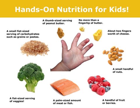 Hands-On-Nutrition-For-Kids